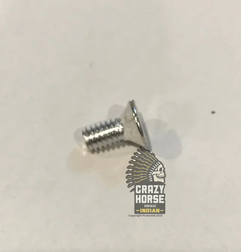 100423  SCREWS