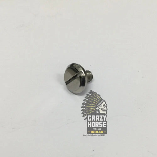 D24285 BRAKE LEVER PIVOT SCREW