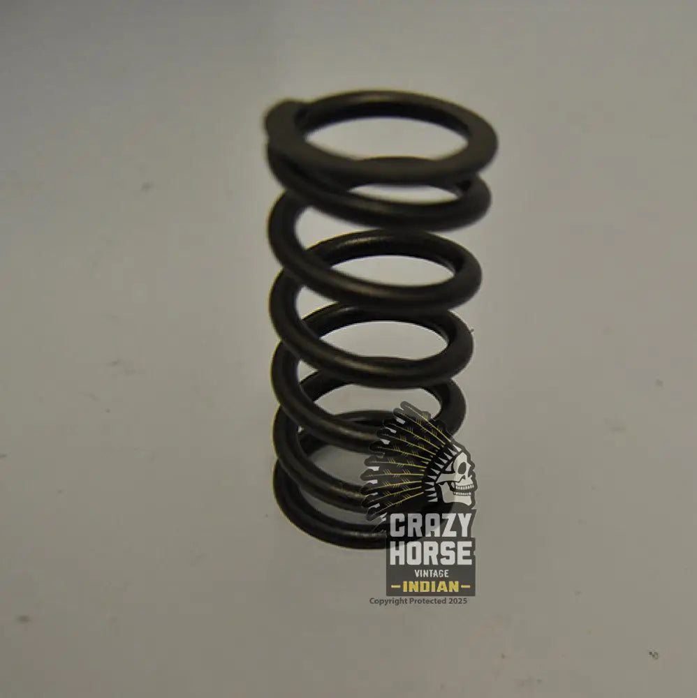 39909 VALVE SPRING