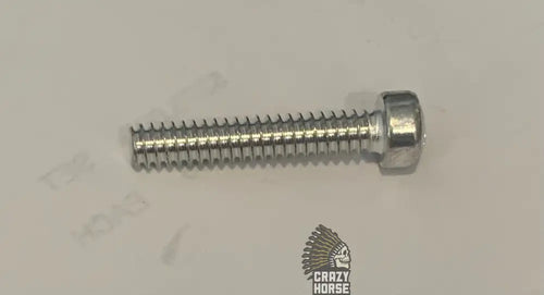 100947 SCREW
