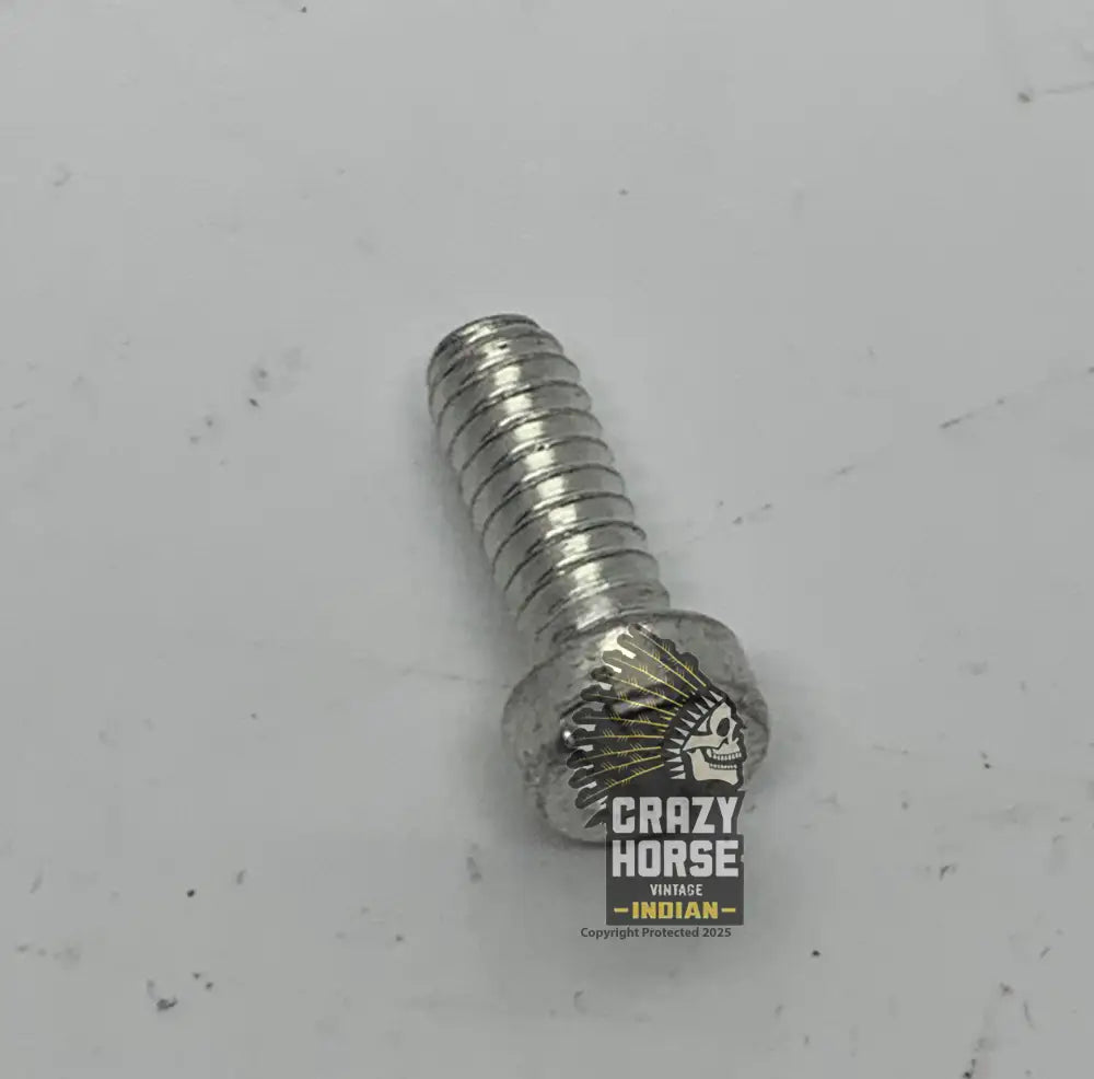 102433 SCREW