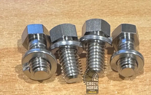 1030 MAGNETO MOUNT BOLT SET