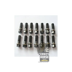 1208 SET 14 7/16 HEAD BOLTS 750CC 101 SCOUT 1928-1931