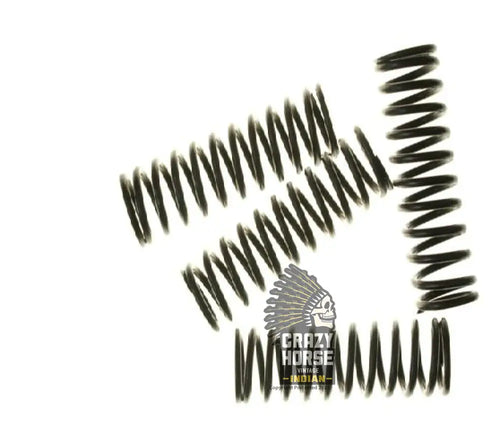 26B143 N458 SET 4 VALVE SPRINGS 600CC