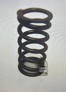 39908 VALVE SPRING 741