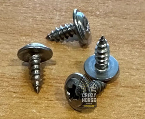 44736S SCREW INFO PLATE MOUNTING