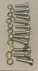 751511 SET CAM SCREW SET