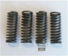 Load image into Gallery viewer, 16A192 N458 Valve Springs (4)