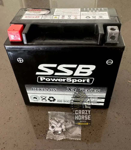 BATTERY RTX14 12V FOR VINTAGE INDIAN CHIEF (FITS BATTERY BOX)