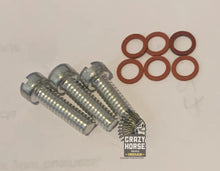 Load image into Gallery viewer, JG-2538 SUMP RETURN SCREWS