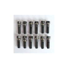 Load image into Gallery viewer, 1207 SET 12 7/16 HEAD BOLTS SET 600CC 101 SCOUT 1928-1931