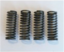 Load image into Gallery viewer, 16A192 N458 Valve Springs (4)